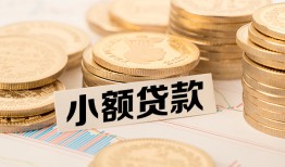 深圳市哪里有小额贷款-深圳市身份证贷款平台-深圳市民间短借